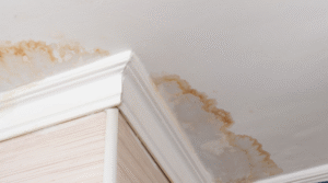 Tường bị ố vàng sau khi sơn – Nguyên nhân & Cách khắc phục hiệu quả | Totopaint.com