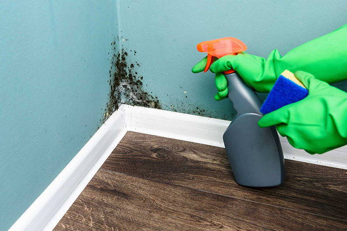 Các loại sơn tường dễ lau chùi bám bẩn, chất lượng tốt nhất - Totopaint.com 3 Các loại sơn tường dễ lau chùi bám bẩn, chất lượng tốt nhất - Totopaint.com